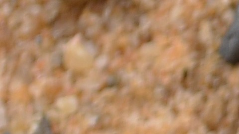 El 4/4 tiene un significado espiritual.