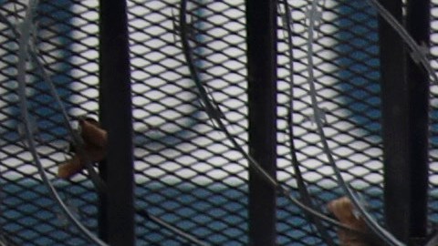 Actualmente en el condado de LA se estima que hay unas 75,000 personas sin hogar.