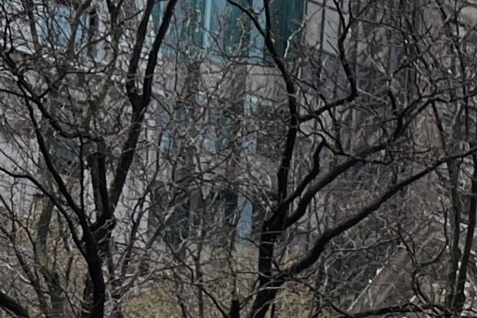 Protesta contra las políticas del presidente Donald Trump el sábado 19 de abril de 2025 en Nueva York.