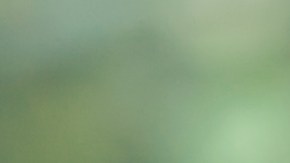 La nueva función de Google Photos llega para reemplazar la opción anterior de "Efecto HDR" que estaba disponible en la app