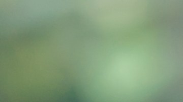 La nueva función de Google Photos llega para reemplazar la opción anterior de "Efecto HDR" que estaba disponible en la app