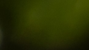 El conductor y el pasajero de la camioneta U-Haul fueron detenidos.