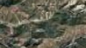 Los incendios en LA provocaron destrucción e impactaron la vida de miles de latinos.