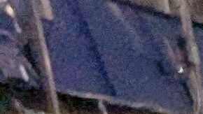 Con la nueva promoción de Starlink los usuarios pueden ahorrar casi $400 dólares en concepto de hardware