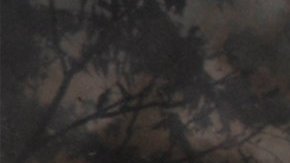 La detonación, ocurrida antes de las 6 a. m., despertó abruptamente a los residentes del vecindario.