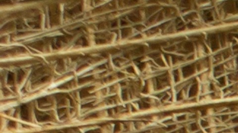 Las monedas chinas son símbolo de abundancia en la astrología oriental.