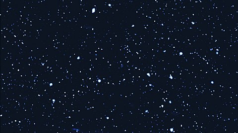 Tauro es el segundo signo del zodiaco.