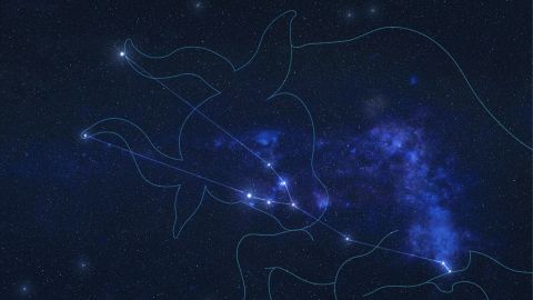 Tauro es el segundo signo del zodiaco.