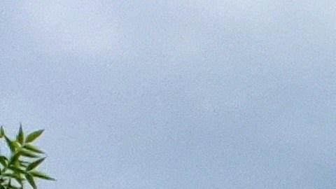 Walmart mantiene activa su lista de productos con descuento, para los amantes de las compras en la cadena.