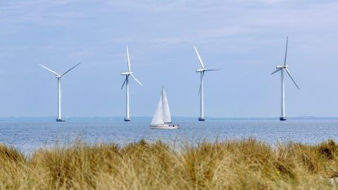 Qué es el "robo de viento" y por qué se considera un problema en la producción de energía renovable en todo el mundo