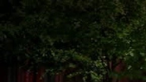 La víctima recibió un disparo en el pecho tras reclamar por su orden. El trabajador enfrenta cargos por homicidio premeditado.