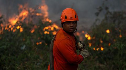 Por qué América Latina encabeza la lista mundial de pérdida de bosques tropicales y cuáles son los países más afectados