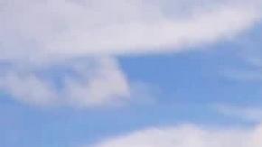 Corales. Su mortalidad masiva acaba afectando drásticamente a otras especies como peces, pulpos y crustáceos, muchas de ellas de importancia económica para la humanidad.