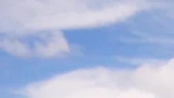 Corales. Su mortalidad masiva acaba afectando drásticamente a otras especies como peces, pulpos y crustáceos, muchas de ellas de importancia económica para la humanidad.