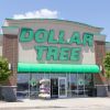 7 artículos de viaje esenciales que puedes encontrar en Dollar Tree antes de las vacaciones de verano