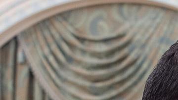 Tras quitar sanciones a Siria, Trump se reúne con Al Sharaa