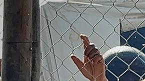 Cerca de medio millón de gazatíes ya enfrenta hambruna, debido a las restricciones de Israel para el ingreso de ayuda humanitaria en el Franja de Gaza.