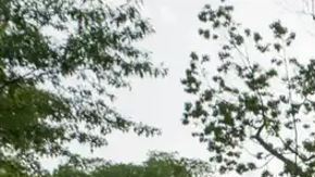 China protesta por revocación de visas a estudiantes en EEUU