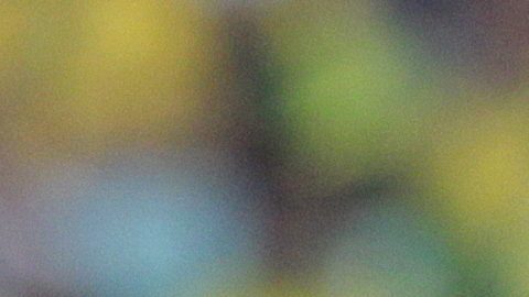 Baptista jugó 47 partidos con la selección brasileña.