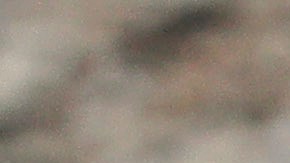 El venezolano de 20 años fue deportado por Trump a El Salvador, pero una jueza federal pide que lo regresen.