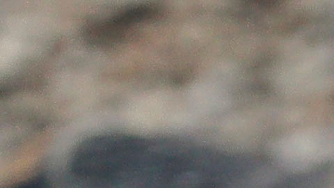 El venezolano de 20 años fue deportado por Trump a El Salvador, pero una jueza federal pide que lo regresen.