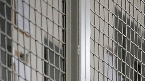 Además de sus instalaciones, ICE utiliza prisiones federales para retener a inmigrantes.