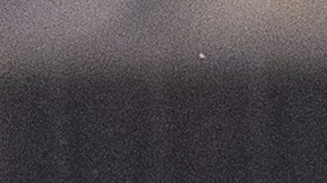 Philadelphia Union's Tai Baribo, left, celebrates after his goal with Daniel Gazdag, center, and Leon Flach, right, during the first half of a Leagues Cup soccer game against CF Montreal, Friday, Aug. 9, 2024, in Chester, Pa. (AP Photo/Chris Szagola)