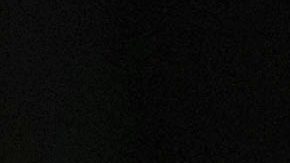 Franco Colapinto debutó con Williams la temporada pasada.