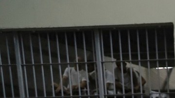 Por ahora, la Administración Trump no puede deportar a inmigrantes a El Salvador.