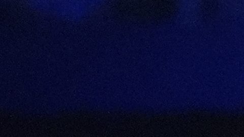 El Canelo peleará el 3 de mayo.