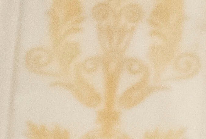 Trump nomina como embajador ante la ONU a Mike Waltz, su asesor de Seguridad Nacional