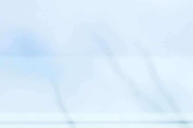 Trump insiste en que Harvard debería facilitar a su Gobierno datos de sus estudiantes