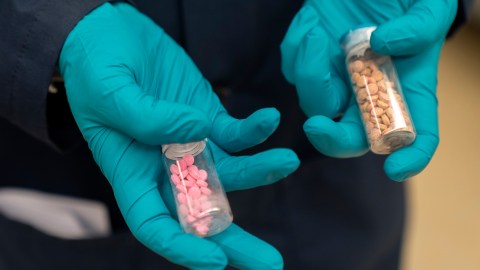 DEA alerta sobre el aumento de mezclas de este opioide sintético con tranquilizantes veterinarios y otros estupefacientes más potentes.