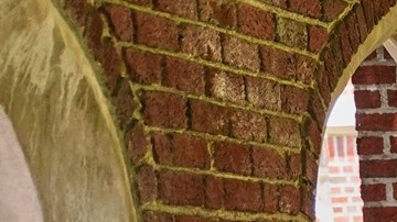 AP publicó la historia de Negina Khalili una refugiada afgana que ahora enfrenta incertidumbre en EE.UU.