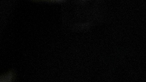 El nuevo sumo pontífice de la iglesia le dará continuidad a los planes del papa Francisco.