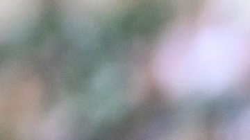 FILE - Philadelphia Eagles offensive tackle Lane Johnson (65) in action against Dallas Cowboys linebacker Micah Parsons (11) during the second half of an NFL football game, Dec. 29, 2024, in Philadelphia. (AP Photo/Terrance Williams, file)