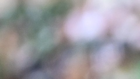 FILE - Philadelphia Eagles offensive tackle Lane Johnson (65) in action against Dallas Cowboys linebacker Micah Parsons (11) during the second half of an NFL football game, Dec. 29, 2024, in Philadelphia. (AP Photo/Terrance Williams, file)