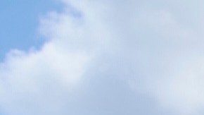 Miembros de la organización CASA frente a la Corte Suprema.