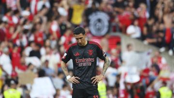 Benfica's Angel Di Maria reacts at the end of the Portuguese league last round soccer match between SC Braga and SL Benfica at the Municipal stadium in Braga, Portugal, Saturday, May 17, 2025. (AP Photo/Luis Vieira)