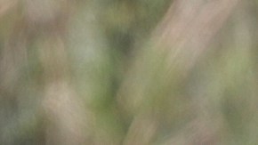 Alguaciles en el sitio de la explosión de un coche cerca de una clínica de fertilidad en Palm Springs, California.