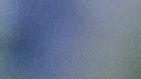 Umberto Rispoli, left, atop Journalism, reacts after edging out Luis Saez, atop Gosger, to win the the 150th running of the Preakness Stakes horse race Saturday, May 17, 2025, at Pimlico Race Course in Baltimore. (AP Photo/Nick Wass)