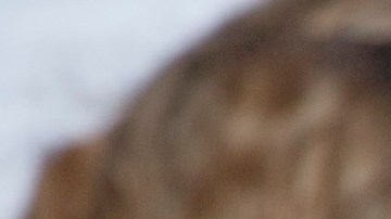California redobla esfuerzos para apoyar a AmeriCorps.