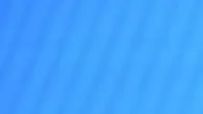 Alice Weidel, líder del partido Alternativa por Alemania, consideró la decisión "un golpe severo contra la democracia alemana".