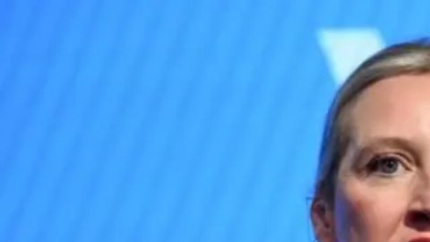 Alice Weidel, líder del partido Alternativa por Alemania, consideró la decisión "un golpe severo contra la democracia alemana".