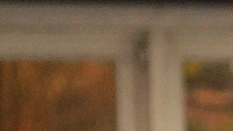 FILE - In this Feb. 9, 2017, file photo provided by U.S. Immigration and Customs Enforcement, ICE agents stand outside a home in Atlanta during a targeted enforcement operation aimed at immigration fugitives, re-entrants and at-large criminals living in the country illegally. With seven Georgia Republicans jockeying for their party’s nomination, illegal immigration is one thing that the leading candidates are largely in agreement on: the state may have some of the toughest laws targeting illegal immigration in the country, but it needs to do more, they say. (Bryan Cox/ICE via AP, File)