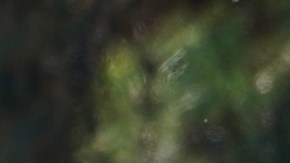 A forensic investigator leaves the home of Bishop David O'Connell in Hacienda Heights, Calif., Sunday, Feb. 19, 2023. O'Connell was shot and killed Saturday just blocks from a church, a slaying of a longtime priest hailed as a “peacemaker” that's stunned the Los Angeles religious community, authorities said. Detectives are investigating the death as a homicide, according to the Los Angeles County Sheriff's Department. (AP Photo/Damian Dovarganes)