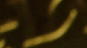 Así es la moneda de oro American Gold Buffalo que vale más de $3,000 en el mercado