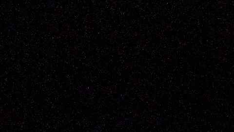 Así es la moneda de 10 centavos de 1983 que puede valer miles de dólares