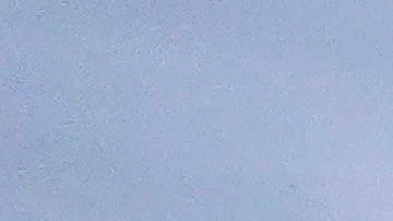 Bahsahwahbee National Monument en Nevada está amenazado por proyectos de instalaciones de energía solar.