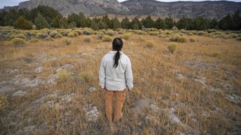 Bahsahwahbee National Monument en Nevada está amenazado por proyectos de instalaciones de energía solar.
